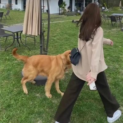 真的假的